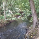 37a-Leipzig-Plaußig Blick Auf Parthe Flussabwärts Nach Südwesten Westlich Brücke Grundstraße (1)