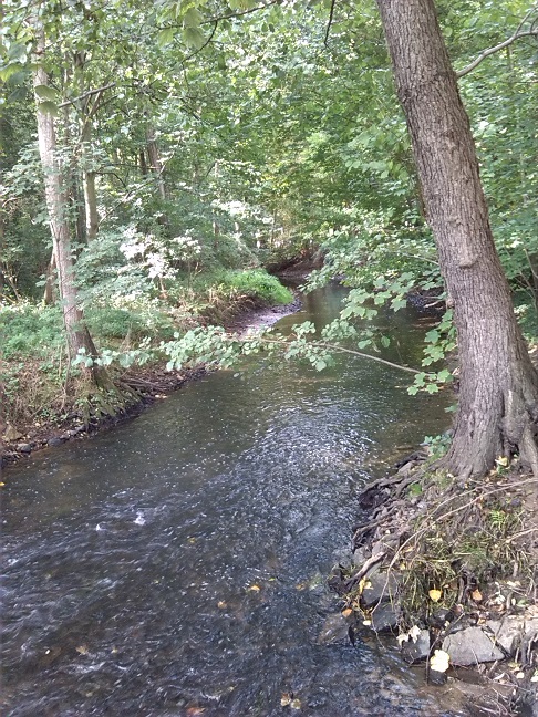 37a-Leipzig-Plaußig Blick Auf Parthe Flussabwärts Nach Südwesten Westlich Brücke Grundstraße (1)