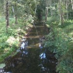 38a-Leipzig-Plaußig Brücke Grundstraße Blick Auf Parthe Flussaufwärts Nach Osten (2)