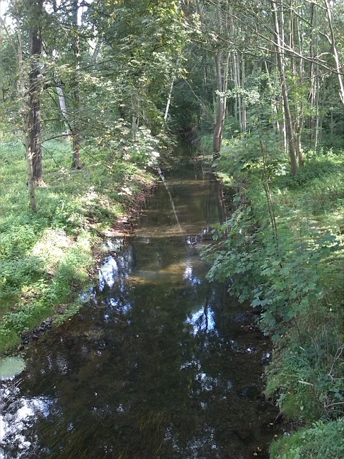 38a-Leipzig-Plaußig Brücke Grundstraße Blick Auf Parthe Flussaufwärts Nach Osten (2)