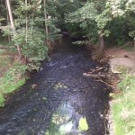 39a-Leipzig-Plaußig Brücke Grundstraße Blick Auf Parthe Flussabwärts Nach Westen (1)