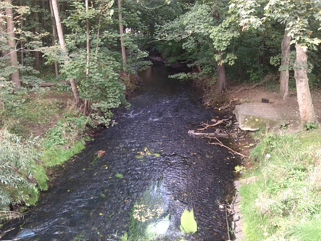 39a-Leipzig-Plaußig Brücke Grundstraße Blick Auf Parthe Flussabwärts Nach Westen (1)