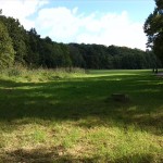 3a-Halle Blick Nach Nordosten Zu Amselgrund & Talstraße (2)