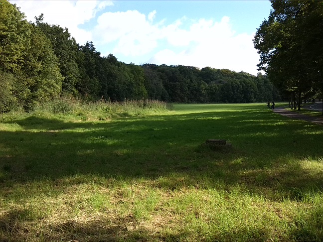 3a-Halle Blick Nach Nordosten Zu Amselgrund & Talstraße (2)