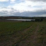 40a-Salzatal Höhnstedt Blick Von L80 In Höhe Einmündung Straße Höhnstedt Nach Westen Zu Bindersee (1)