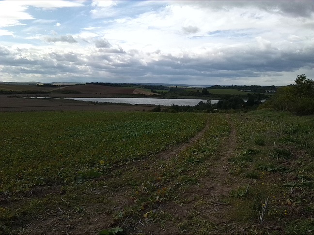 40a-Salzatal Höhnstedt Blick Von L80 In Höhe Einmündung Straße Höhnstedt Nach Westen Zu Bindersee (1)