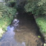 41a-Leipzig-Thekla Brücke An Den Pferdnerkabe ln Blick Auf Parthe Flussaufwärts Nach Osten (1)