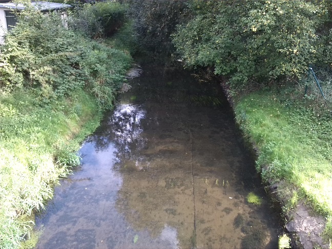 41a-Leipzig-Thekla Brücke An Den Pferdnerkabe ln Blick Auf Parthe Flussaufwärts Nach Osten (1)