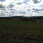 41a-Salzatal Höhnstedt Blick Von L80 In Höhe Einmündung Straße Höhnstedt Nach Süden Zu Bindersee & Salziger See & Amsdorf (1)