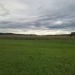 44a-Seegebiet Mansfelder Land Aseleben Blick Vom Weg Nach Lüttchendorf Über Süssen See Nach Seeburg Nach Osten (1)