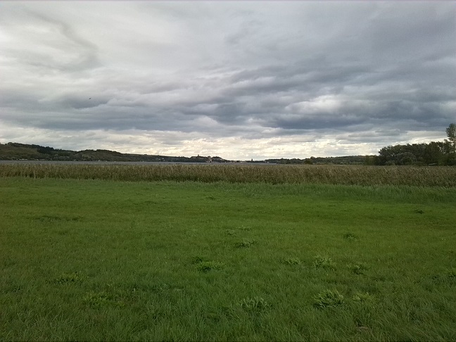 44a-Seegebiet Mansfelder Land Aseleben Blick Vom Weg Nach Lüttchendorf Über Süssen See Nach Seeburg Nach Osten (1)
