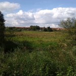 45a-Leipzig-Schönefeld-Abtnauendorf-AbtnaundorferPark-Feuchtgebiet Blick Über Partheaue Nach Westen Leipzig Mockau-Süd (1)