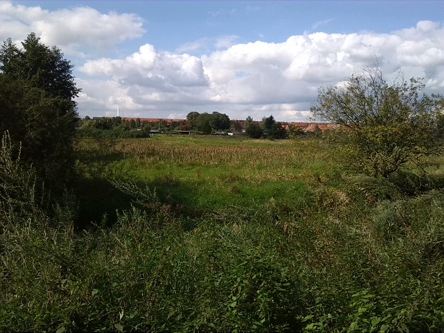 45a-Leipzig-Schönefeld-Abtnauendorf-AbtnaundorferPark-Feuchtgebiet Blick Über Partheaue Nach Westen Leipzig Mockau-Süd (1)