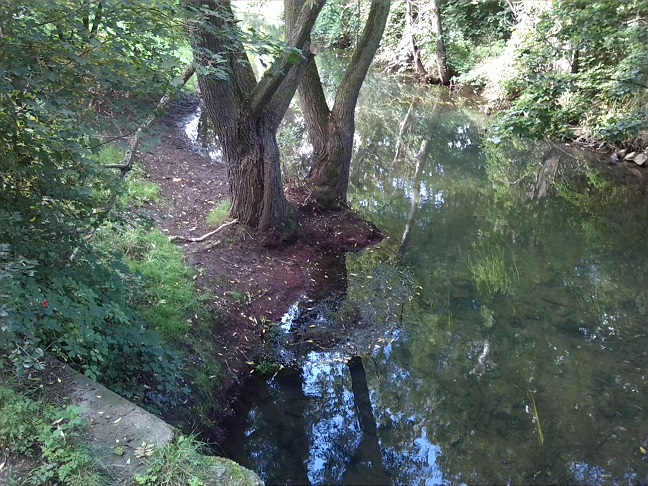 46a-Leipzig-Schönefeld-Abtnauendorf-Parthe Nordöstlich Ossietzkystraße Blick Flussabwärts Nach Südwesten (1)