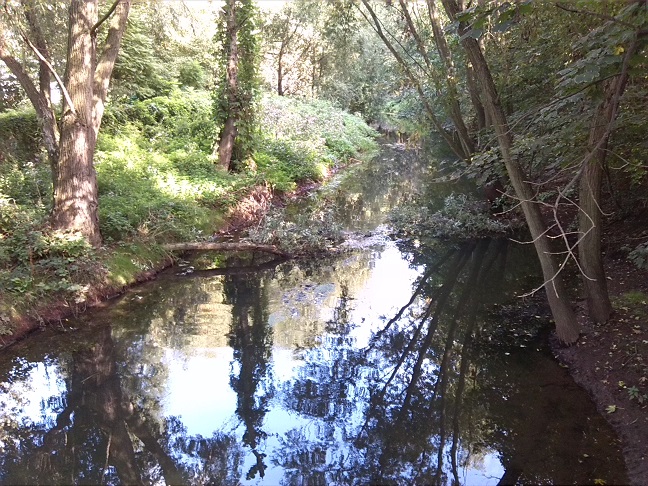 47a-Leipzig-Schönefeld-Abtnauendorf-Parthe Nordöstlich Ossietzkystraße Blick Flussaufwärts Nach Nordosten (1)