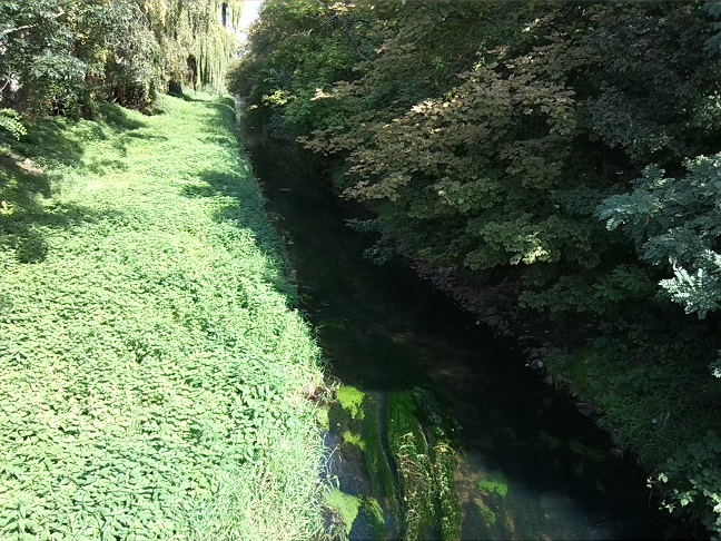 49a-Leipzig-Blick Von Brücke Ecke Adenauerallee & Brandenburger Straße Auf Parthe Flussaufwärts Nach Nordosten (1)