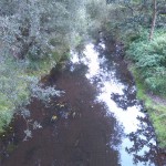 4a-Taucha-Parthe Zwischen Auenweg & Am Weinberge Blick Von Brücke Zu Am Weinberge Flussaufwärts Nach Südosten (2)