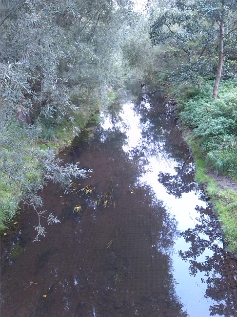 4a-Taucha-Parthe Zwischen Auenweg & Am Weinberge Blick Von Brücke Zu Am Weinberge Flussaufwärts Nach Südosten (2)