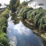 51a-Leipzig-Blick Von Brücke Ecke Adenauerallee & Brandenburger Straße Auf Parthe Flussabwärts Nach Südwesten (1)