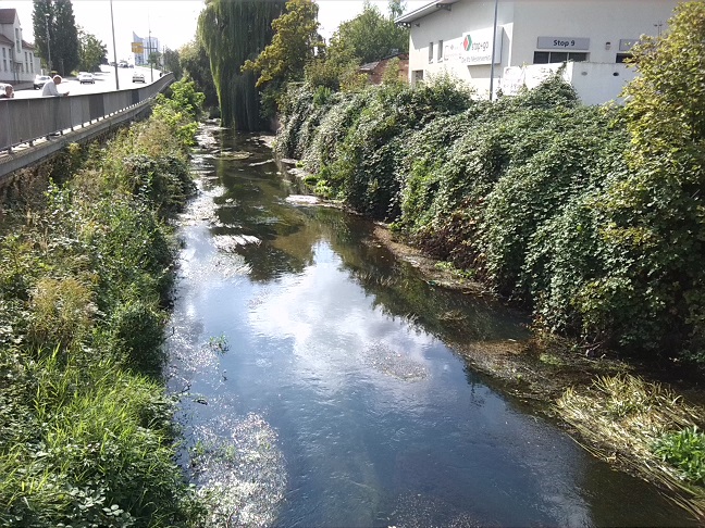 51a-Leipzig-Blick Von Brücke Ecke Adenauerallee & Brandenburger Straße Auf Parthe Flussabwärts Nach Südwesten (1)