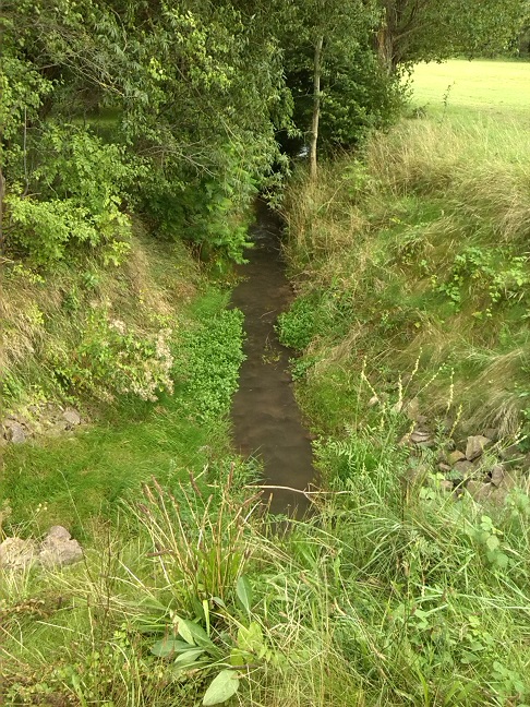 56a-Salzatal Schochwitz Laweke Südwestlich Schochwitz Blick Bachabwärts Nach Südosten (1)