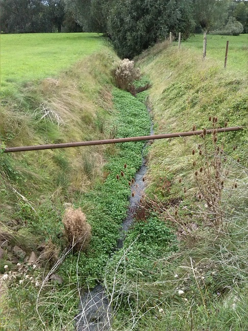 57a-Salzatal Schochwitz Laweke Südwestlich Schochwitz Blick Bachaufwärts Nach Nordwesten (1)