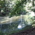 5a-Halle Amselgrund Blick Nach Westen Zu Unteren Teich (2)