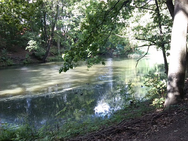 5a-Halle Amselgrund Blick Nach Westen Zu Unteren Teich (2)