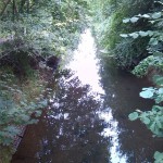 5a-Taucha-Parthe Zwischen Auenweg & Am Weinberge Blick Von Brücke Zu Am Weinberge Flussabwärts Nach Nordwesten