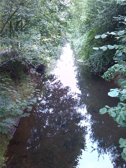 5a-Taucha-Parthe Zwischen Auenweg & Am Weinberge Blick Von Brücke Zu Am Weinberge Flussabwärts Nach Nordwesten