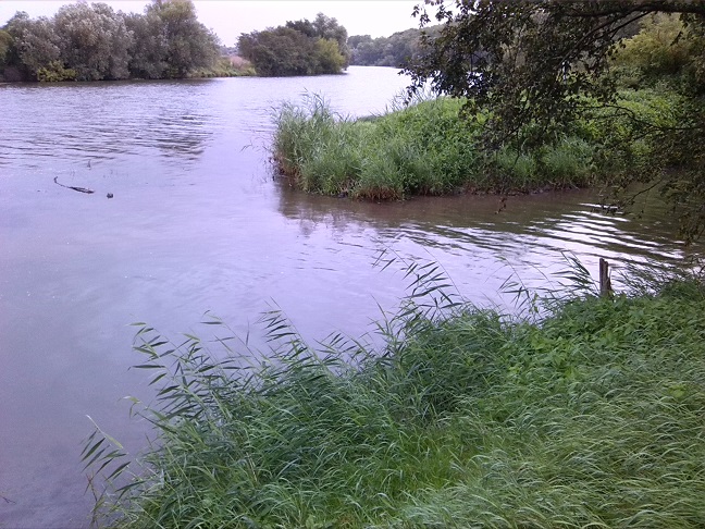 60a-Salzatal Salzmünde Einmündung Salza In Saale Blick Nach Osten (2)