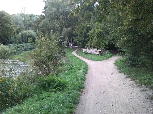 62a-Leipzig Rosental Weg Unweit Rosentalhügel & Teich & Mündung Parthe In Weiße Elster Blick Nach Nordwesten (2)