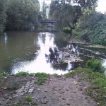 63a-Leipzig Rosental Blick Auf Einmündung Parthe In Weiße Elster Nach Norden (2)