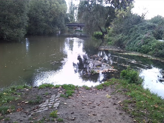 63a-Leipzig Rosental Blick Auf Einmündung Parthe In Weiße Elster Nach Norden (2)