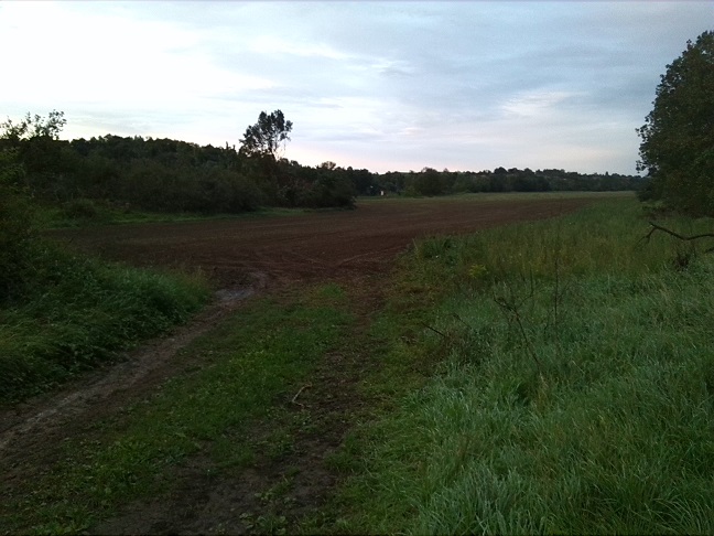 64a-Salzatal Schiepzig Blick Von Neuragoczy In Roitzschwerder Nach Nordosten (2)