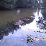 65a-Leipzig Rosental Blick Auf Einmündung Parthe In Weiße Elster Nach Norden (2)