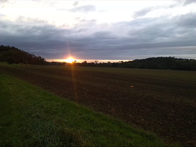 66a-Halle Blick Von Weg Nördlich Lunzberge Über Die Aue Nach Westen (1)