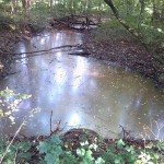 73a-Schkeuditz Auenwald Alte Luppe Zwischen Am Wasserwek & Maßlauer Linie Blick Flussaufwärts Nach Nordosten (2)