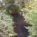 7a-Taucha-Parthe Zwischen Leipziger Straße & B87 Graßdorfer Straße Blick Von Brücke Flussabwärts Nach Nordosten (2)