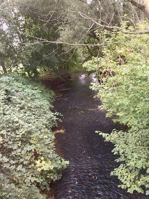 7a-Taucha-Parthe Zwischen Leipziger Straße & B87 Graßdorfer Straße Blick Von Brücke Flussabwärts Nach Nordosten (2)