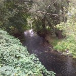 8a-Taucha-Parthe Zwischen Leipziger Straße & B87 Graßdorfer Straße Blick Von Brücke Flussabwärts Nach Nordosten (1)