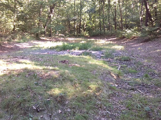 9a-Halle Dölauer Heide Herthateich Blick Nach Nordosten (2)