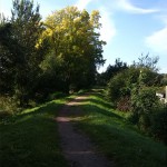 11a-Dessau-Rosslau Muldeabschnitt Südöstlich Kleingarten Schillerpark Blick Nach Südwesten Auf Deich (2)