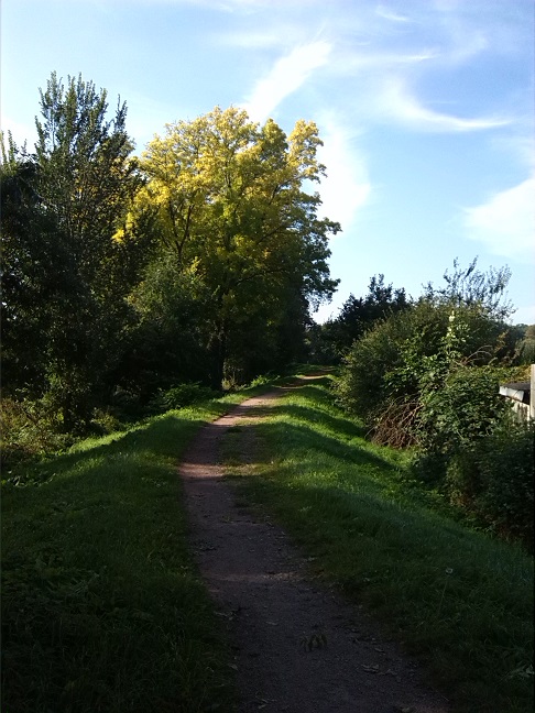 11a-Dessau-Rosslau Muldeabschnitt Südöstlich Kleingarten Schillerpark Blick Nach Südwesten Auf Deich (2)
