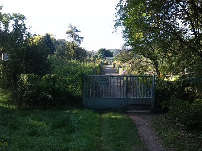 12a-Dessau-Rosslau Nordosteingang Kleingartenanlage Am Schillerpark Blick Nach Südwesten (1)