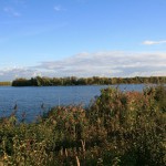 12a-Halle-Büschdorf Hufeisensee Westufer Blick Nach Südosten