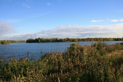 12a-Halle-Büschdorf Hufeisensee Westufer Blick Nach Südosten