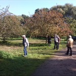 15a-Dessau-Rosslau Muldeaaue An Plankenlinie & Landhaus Blick Auf Streuobstwiese Südostrand Nach Nordosten (1)