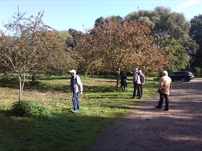 15a-Dessau-Rosslau Muldeaaue An Plankenlinie & Landhaus Blick Auf Streuobstwiese Südostrand Nach Nordosten (1)