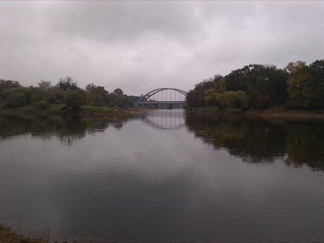 15a-Dessau-Rosslau Ostufer Unterluch Blick Nach Nordosten Zu Einmündung Mulde In Elbe (1)
